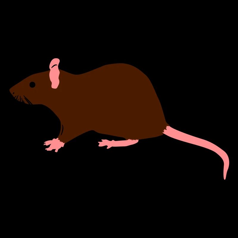 ratte