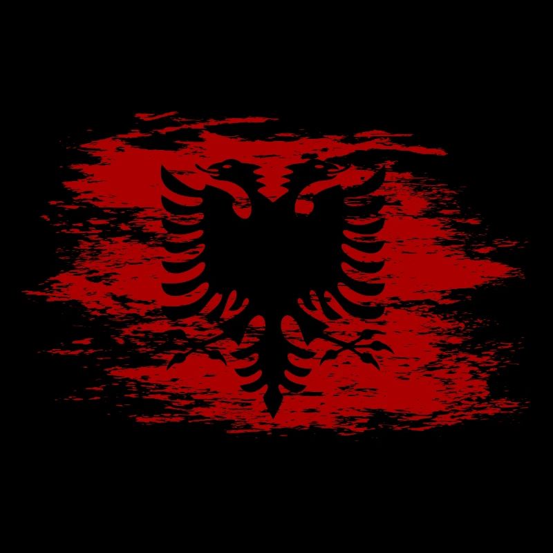 Albania used