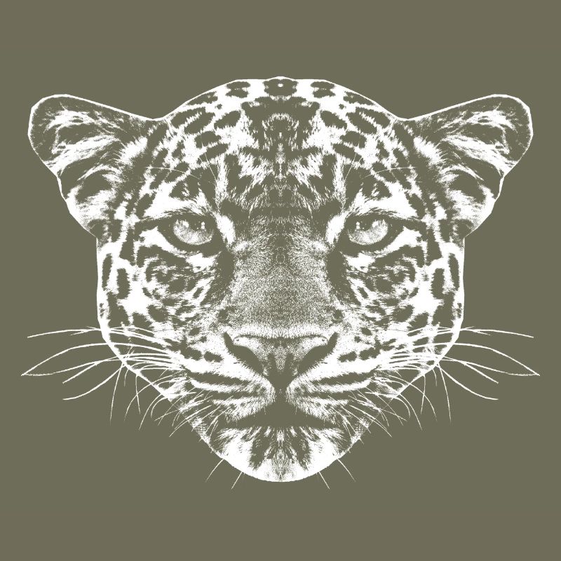 Young Leopard