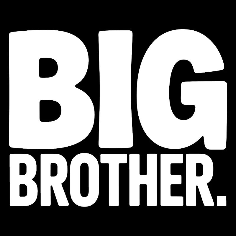 Big Brother Surveillance