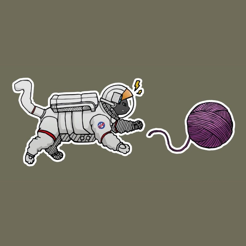Chat astronaute