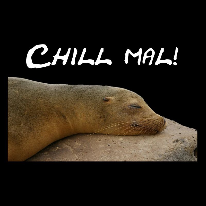 Robbe Chillt auf Stein