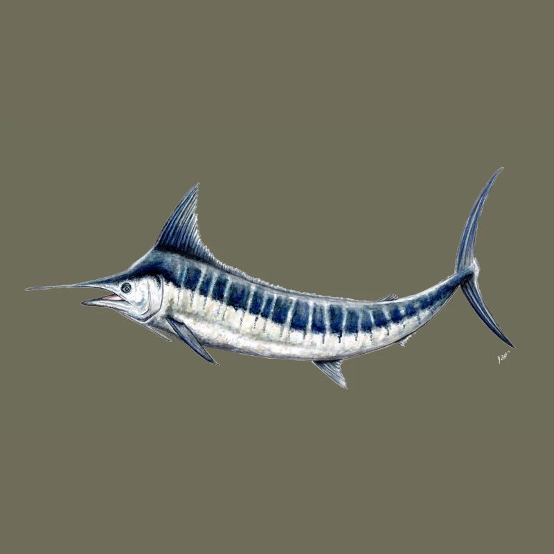 Blue Marlin - Blue marlin - Espadon - Fish