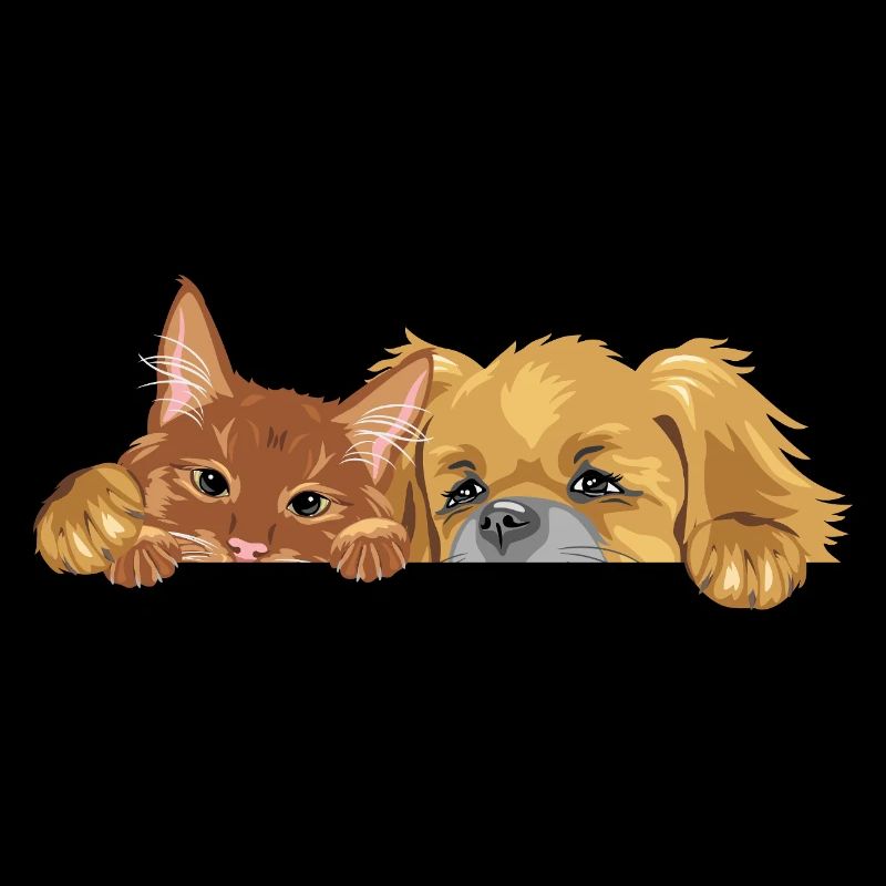 Chat roux et chien pékinois