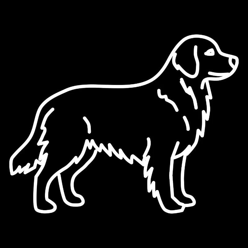 Golden Retriever Blanc