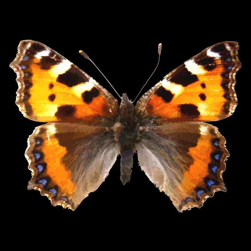 Kleiner Fuchs (Aglaiis urticae) Schmetterling