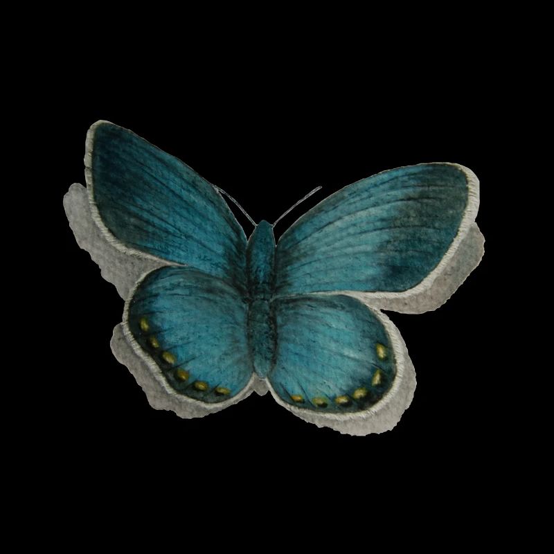 Schmetterling Bläuling