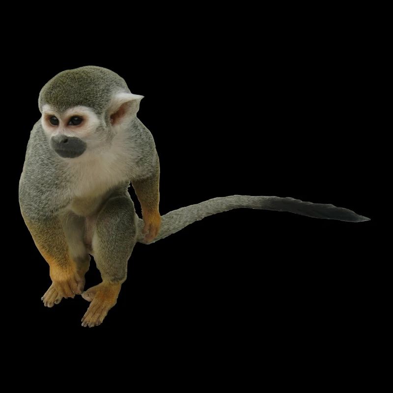 Affe