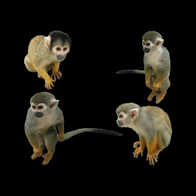Monkeys