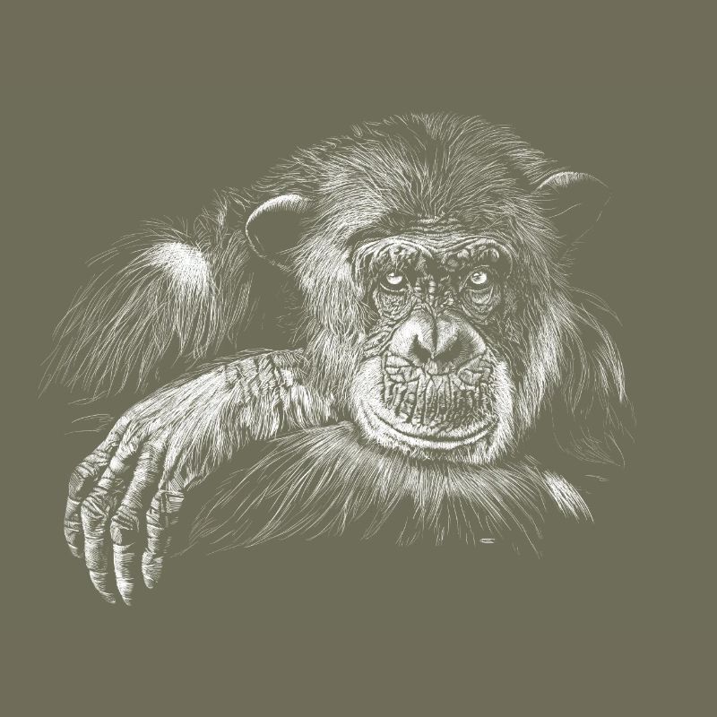 monkey