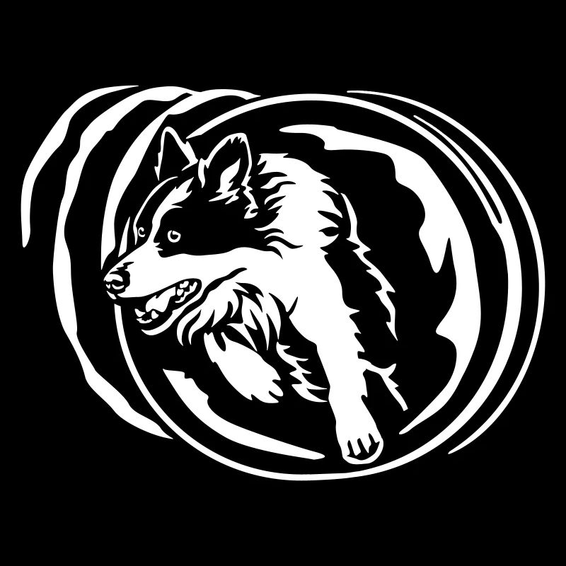 Border Collie "Black Edition"