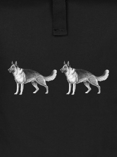 German Shepherd car