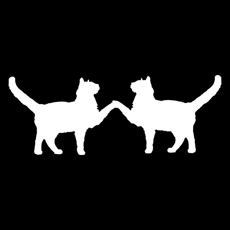 2 chats couple amis deux pattes mains salutation