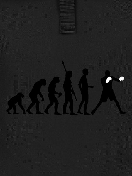 evolution_boxen_b_2c