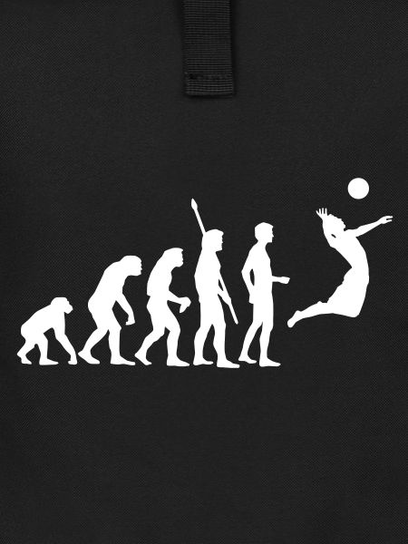 evolution_volleyball