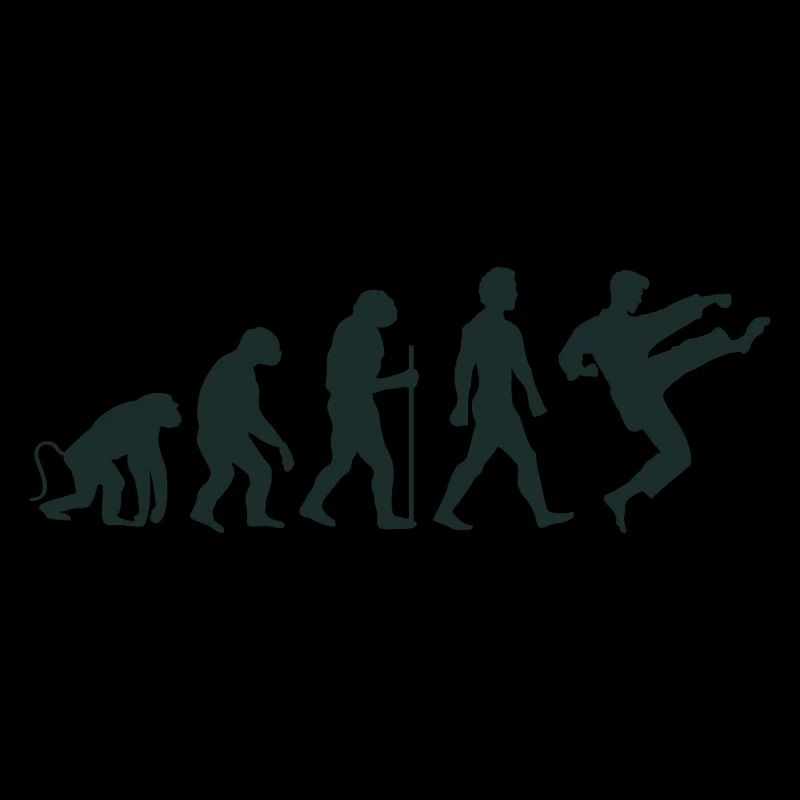 Karaté Évolution