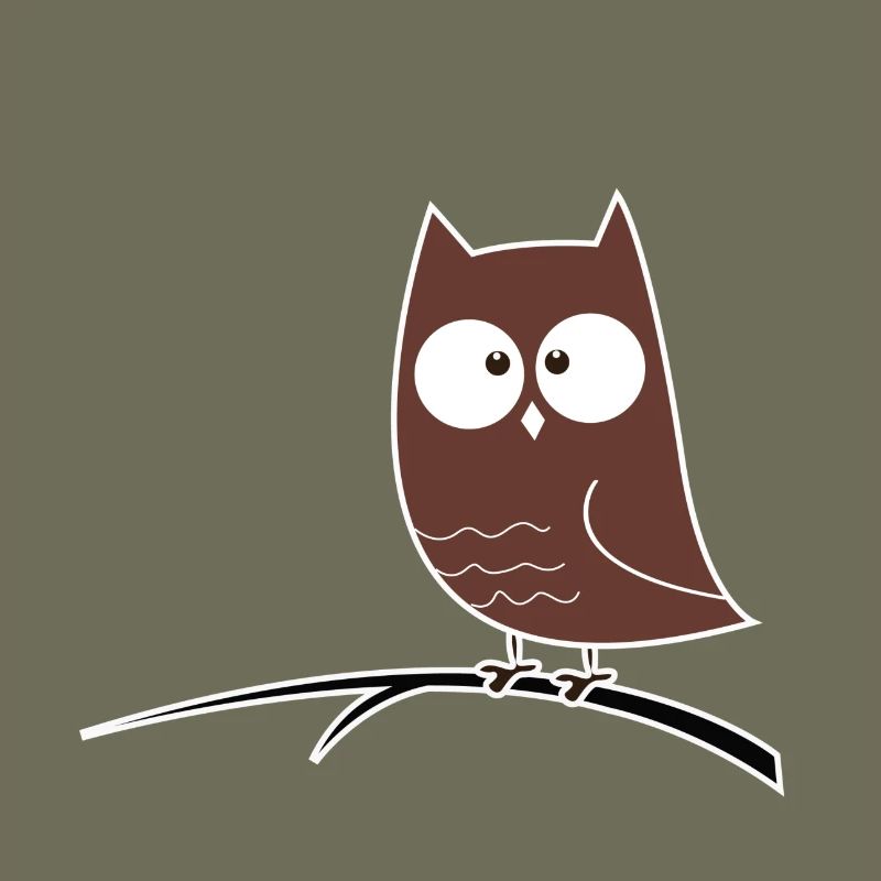 Schielende Eule Geschenk Idee