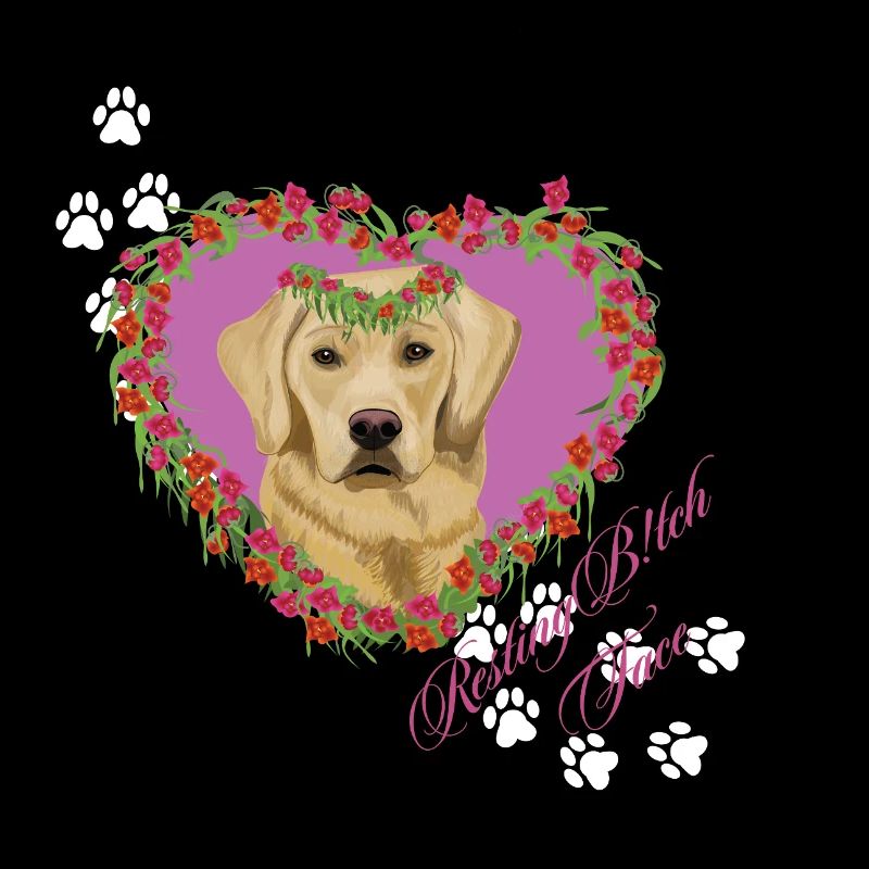 Schlafender Labrador im Gesicht