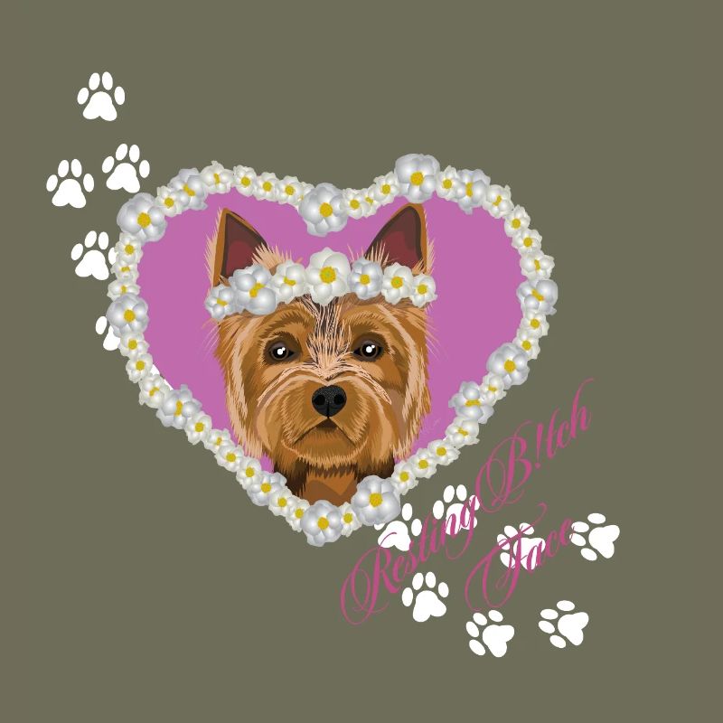 Ruhender Tch-Face Yorksire Terrier