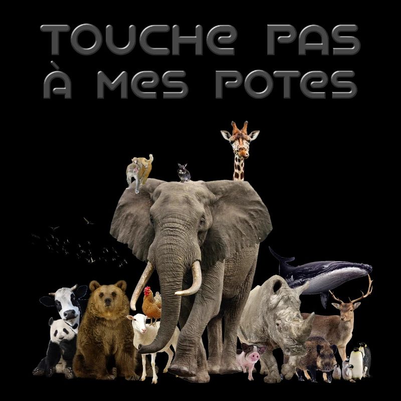 Touche pas à mes potes