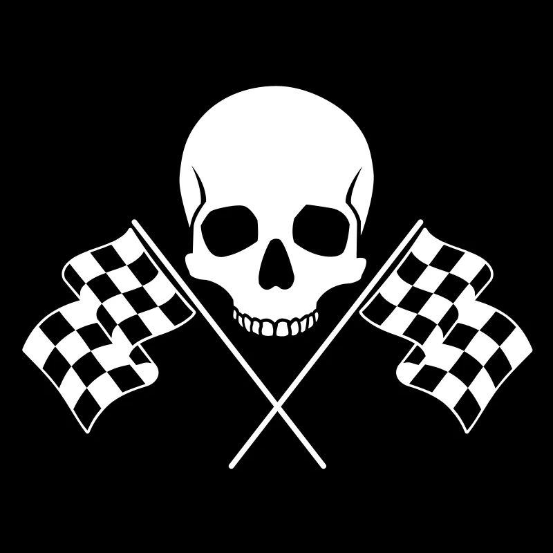 Crâne Drapeaux à Damier