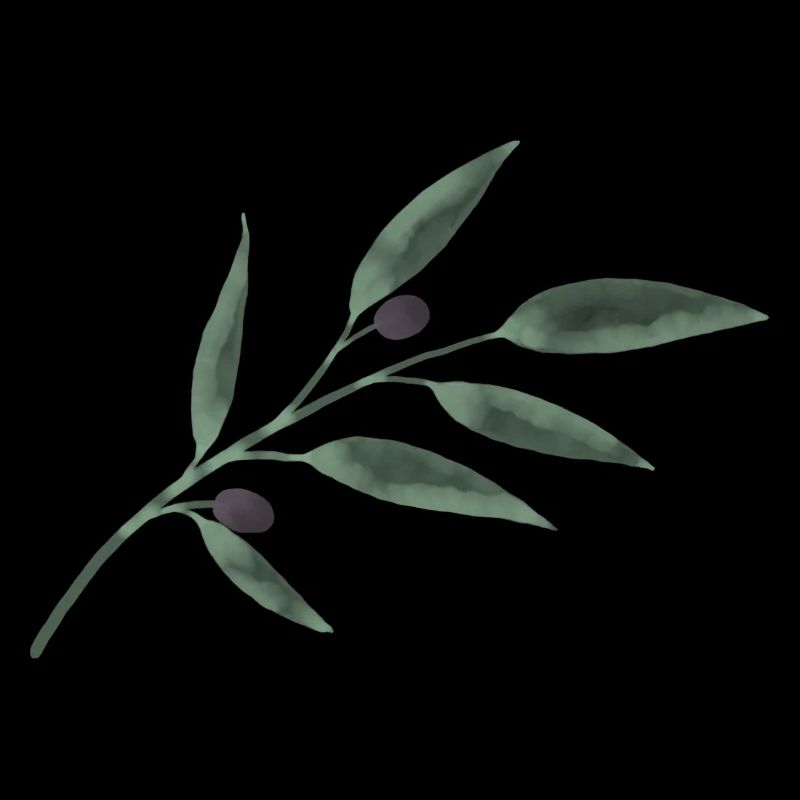 Olive Branch