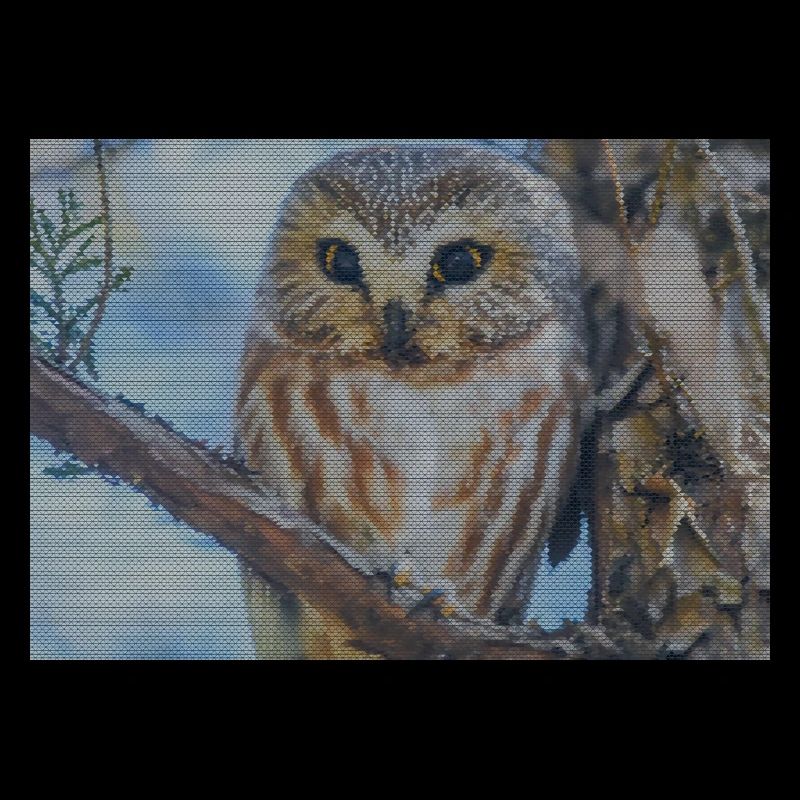 Abendwald Eulenblick