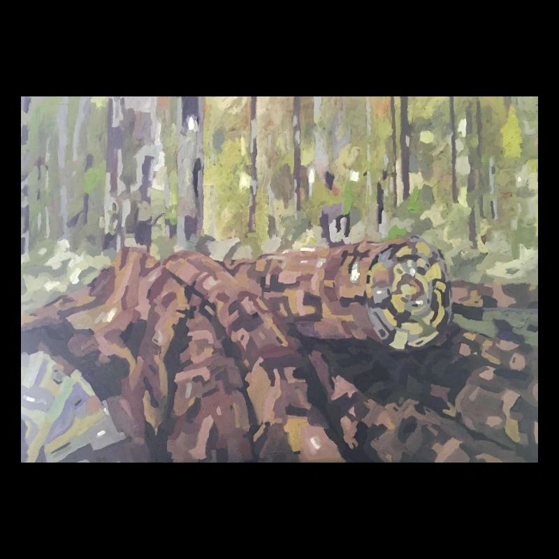 Baumstämme im Wald – eine impressionistische Landschaft