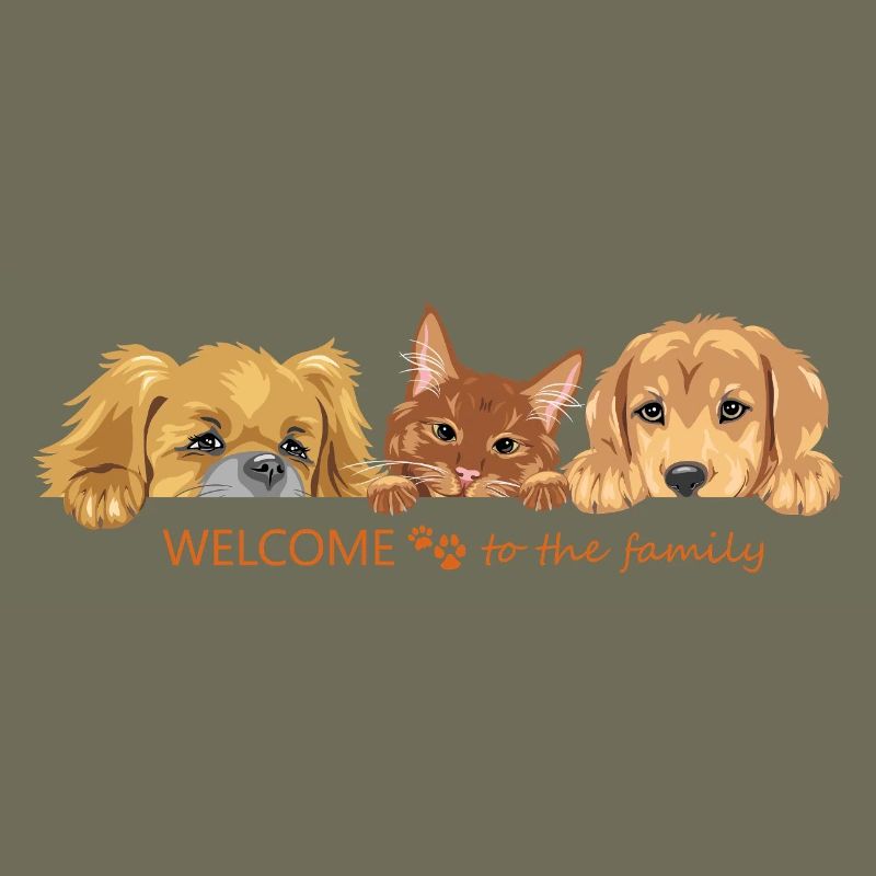 Coup d’œil mignon chat roux et deux chiens
