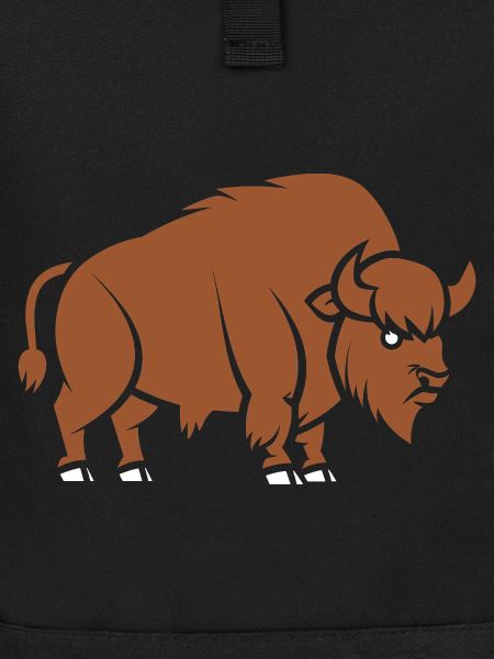 Bison