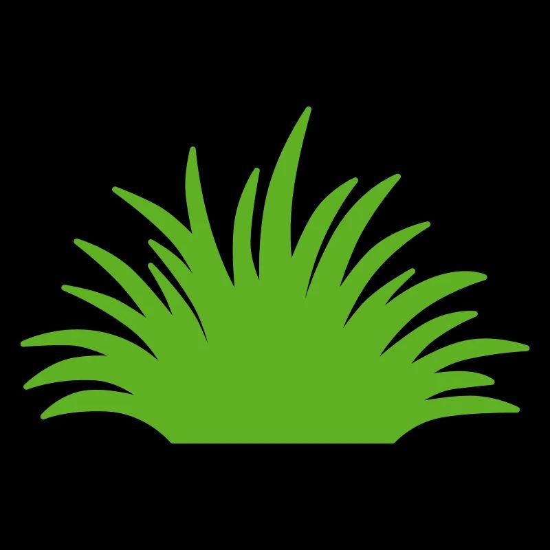 Gras
