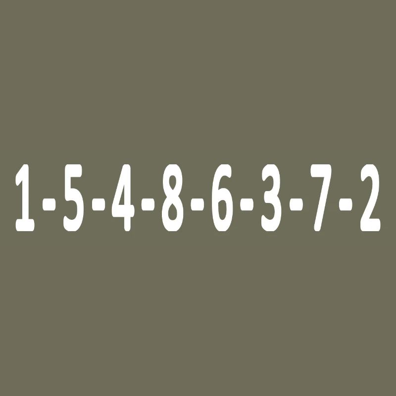 V8 ignition order - car gift idea white