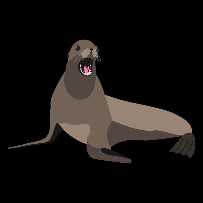 Sea Lion Print