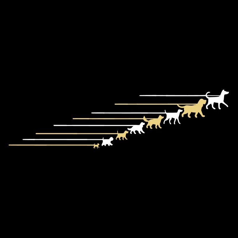 Dogs on a leash 5