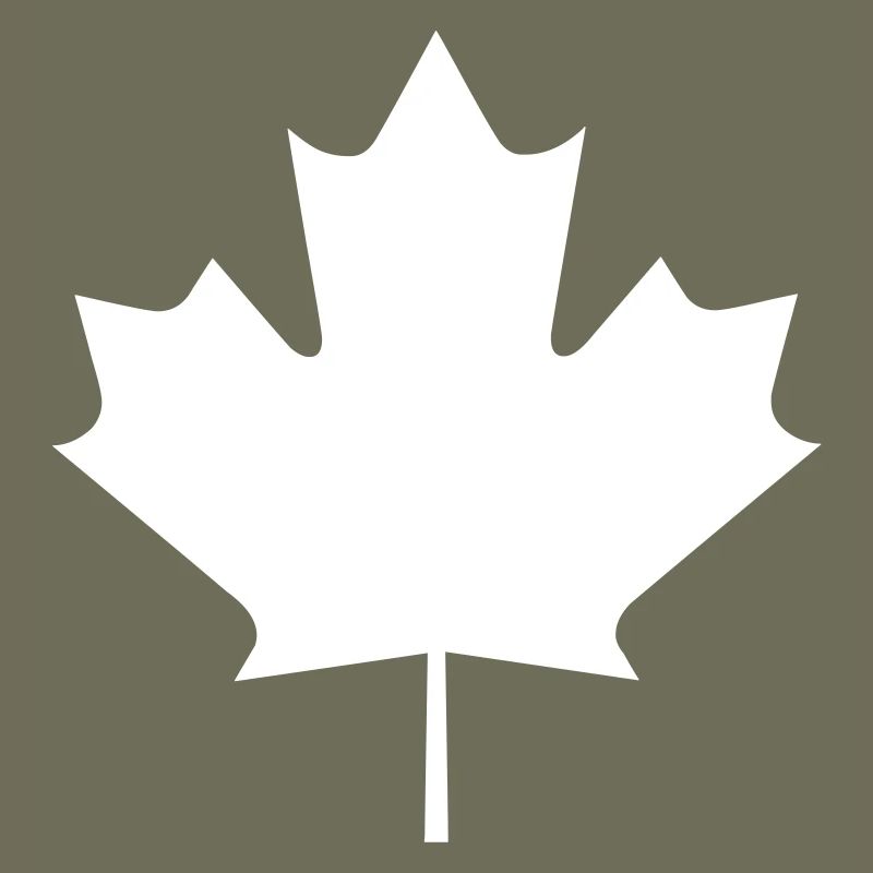 A maple leaf