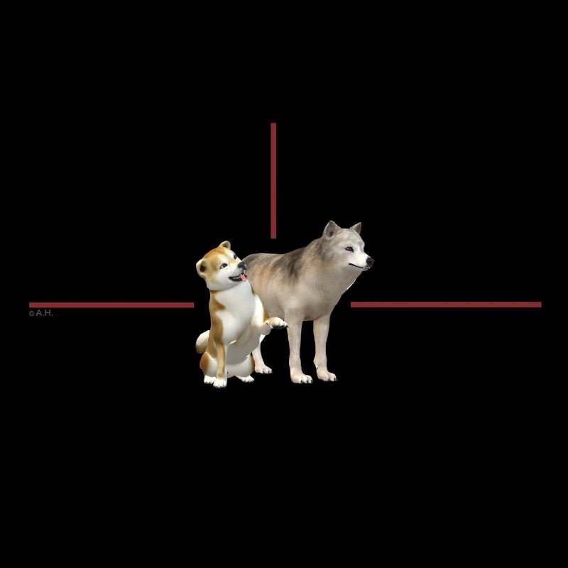 Duo dogs in red frame