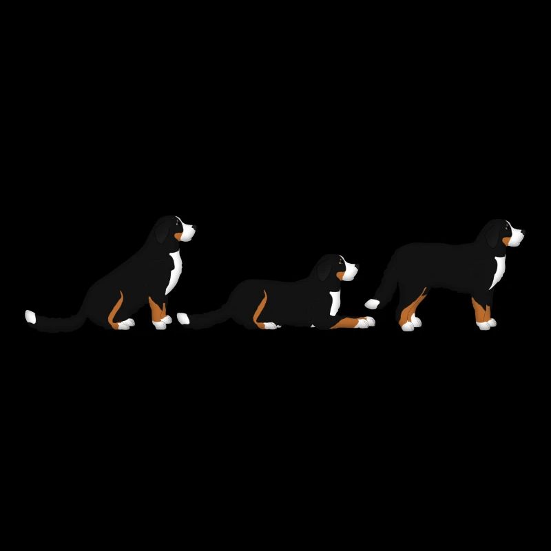 place get Bernese mountain dog