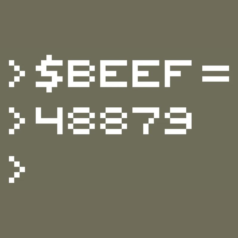 BEEF 8-bit Code Nerd Pixel Terminal Rétro