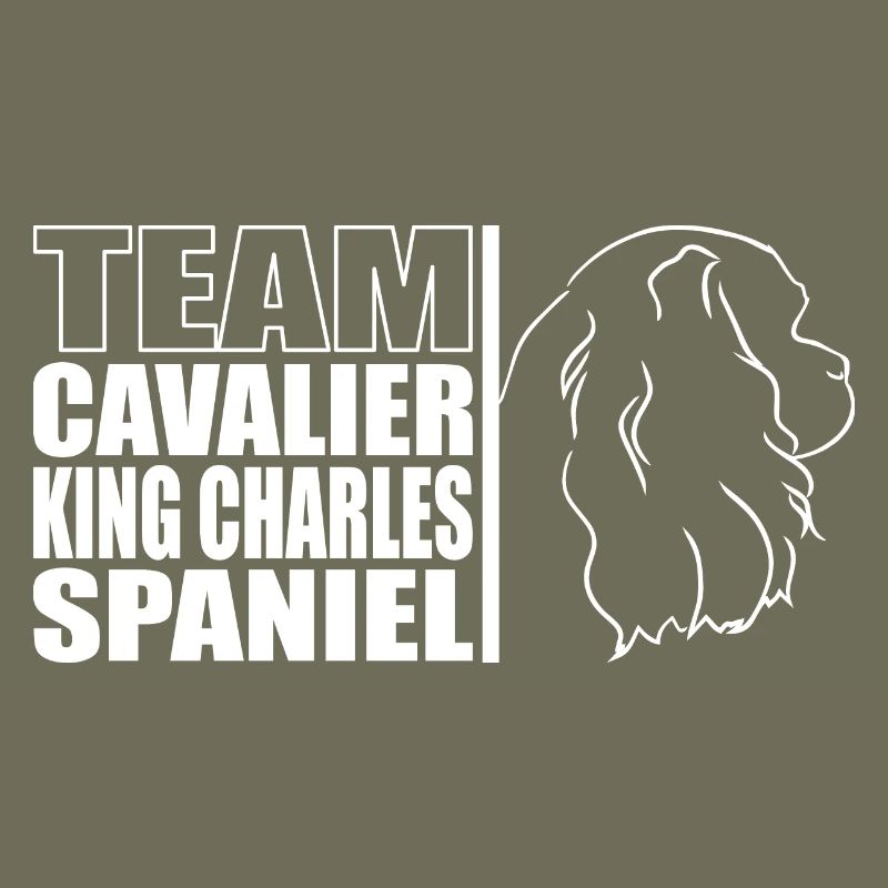 TEAM Cavalier King Charles Spaniel Profil Wilsigns