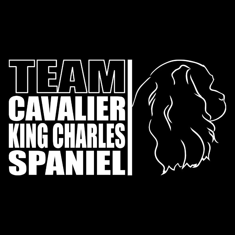 TEAM Cavalier King Charles Spaniel Profil Wilsigns