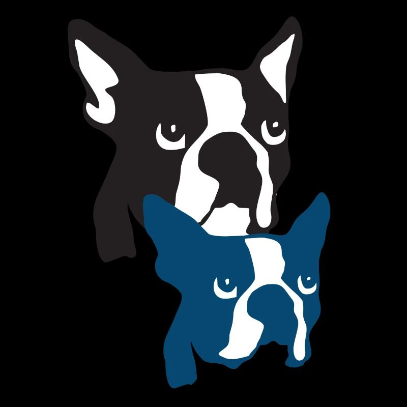 Boston Terrier os de tigre