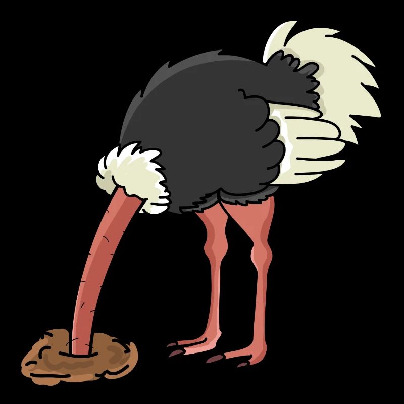 Bunch of bird ostrich