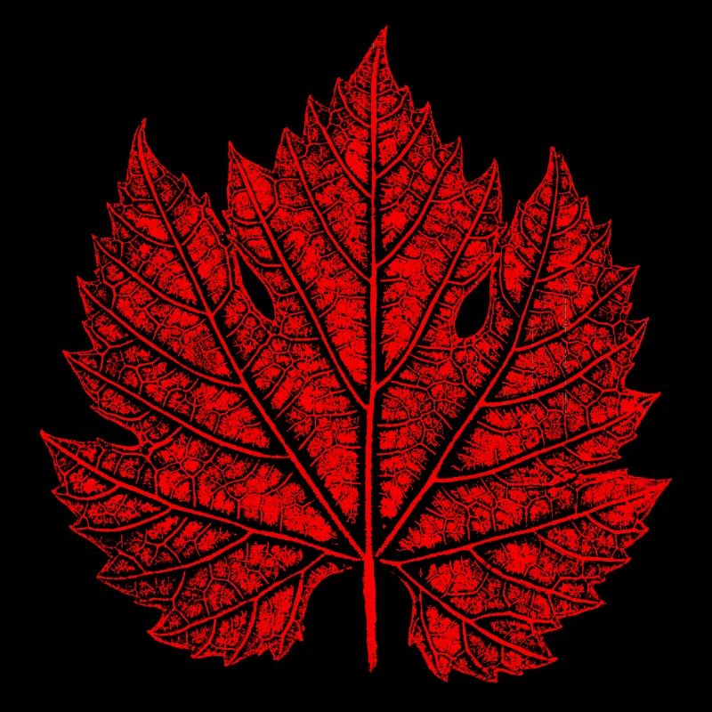 Feuille de vigne / Rouge / Feuille de vin
