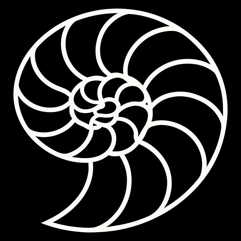Weiße Nautilus-Spirale