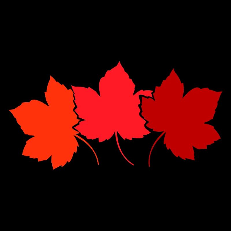Autumnal Maple Leaves Gradient