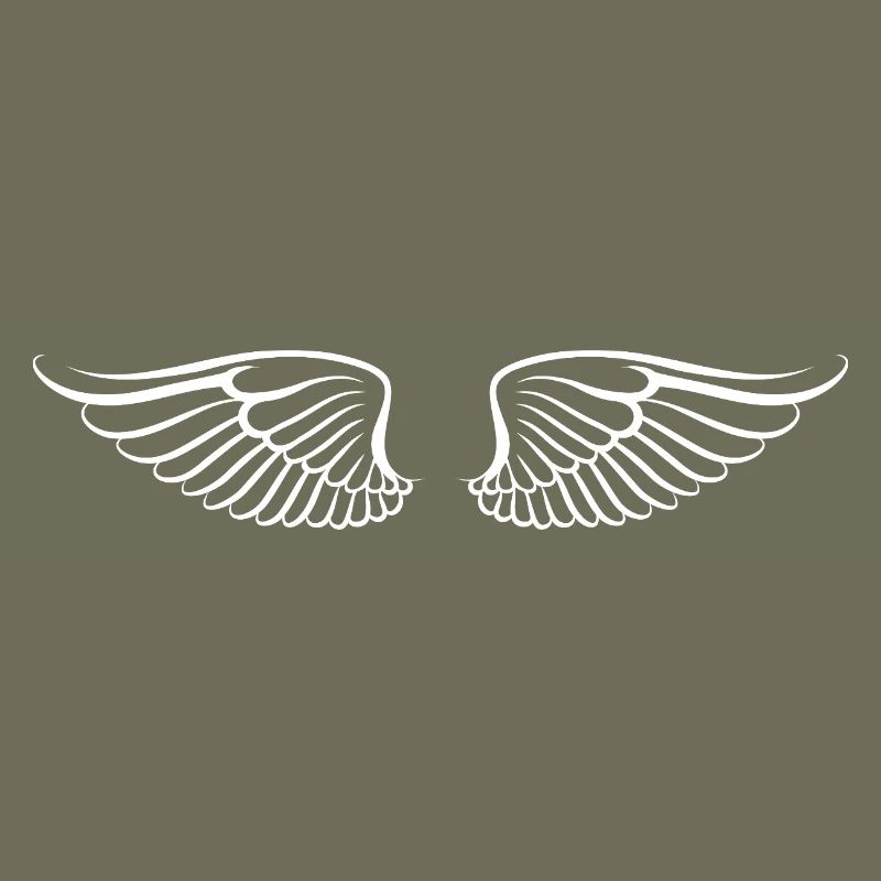 Les ailes