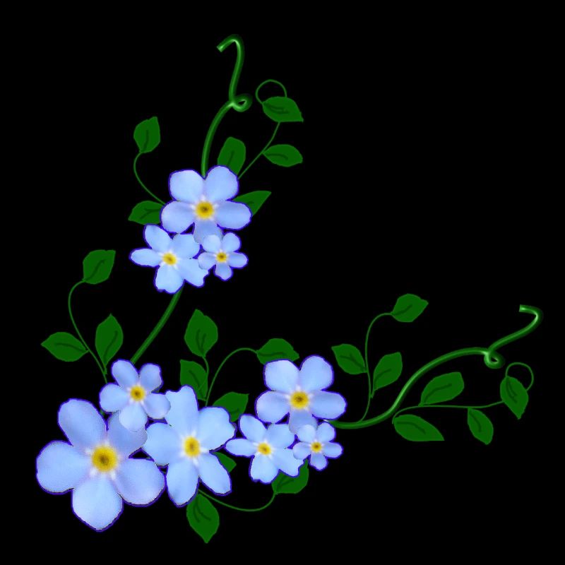 do not forget me