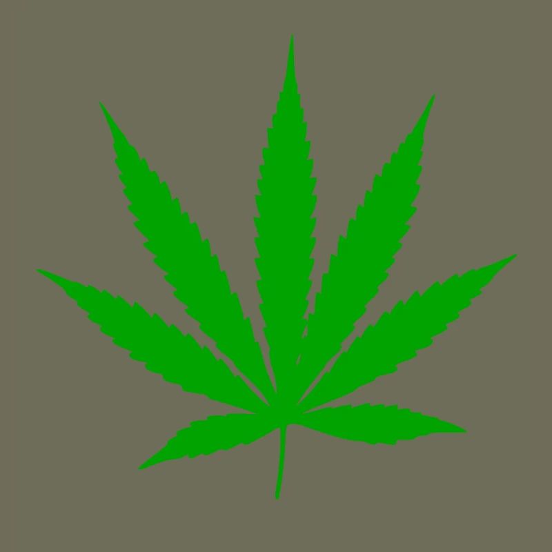 Cannabis Leaf Plant