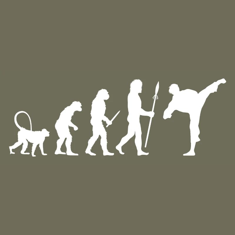 Karate Evolution