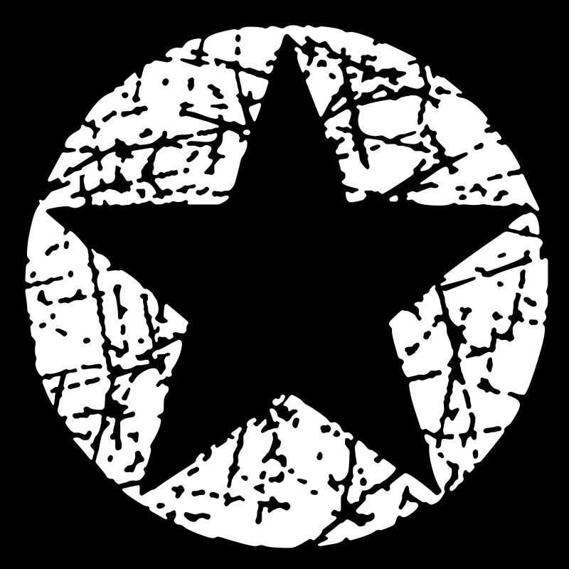 Vintage Star 2